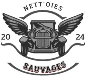 Nettoyage voitures